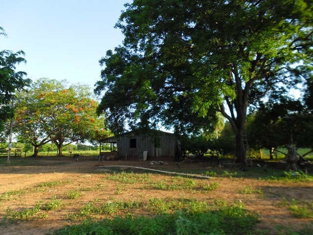 Foto 5 - Fazenda em Bonito-MS