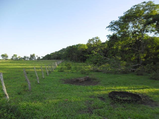 Foto 6 - Fazenda em Bonito-MS