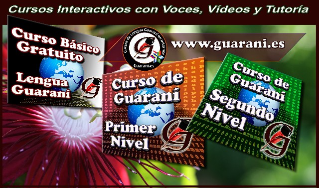 Foto 1 - Clases de guaraní curso online
